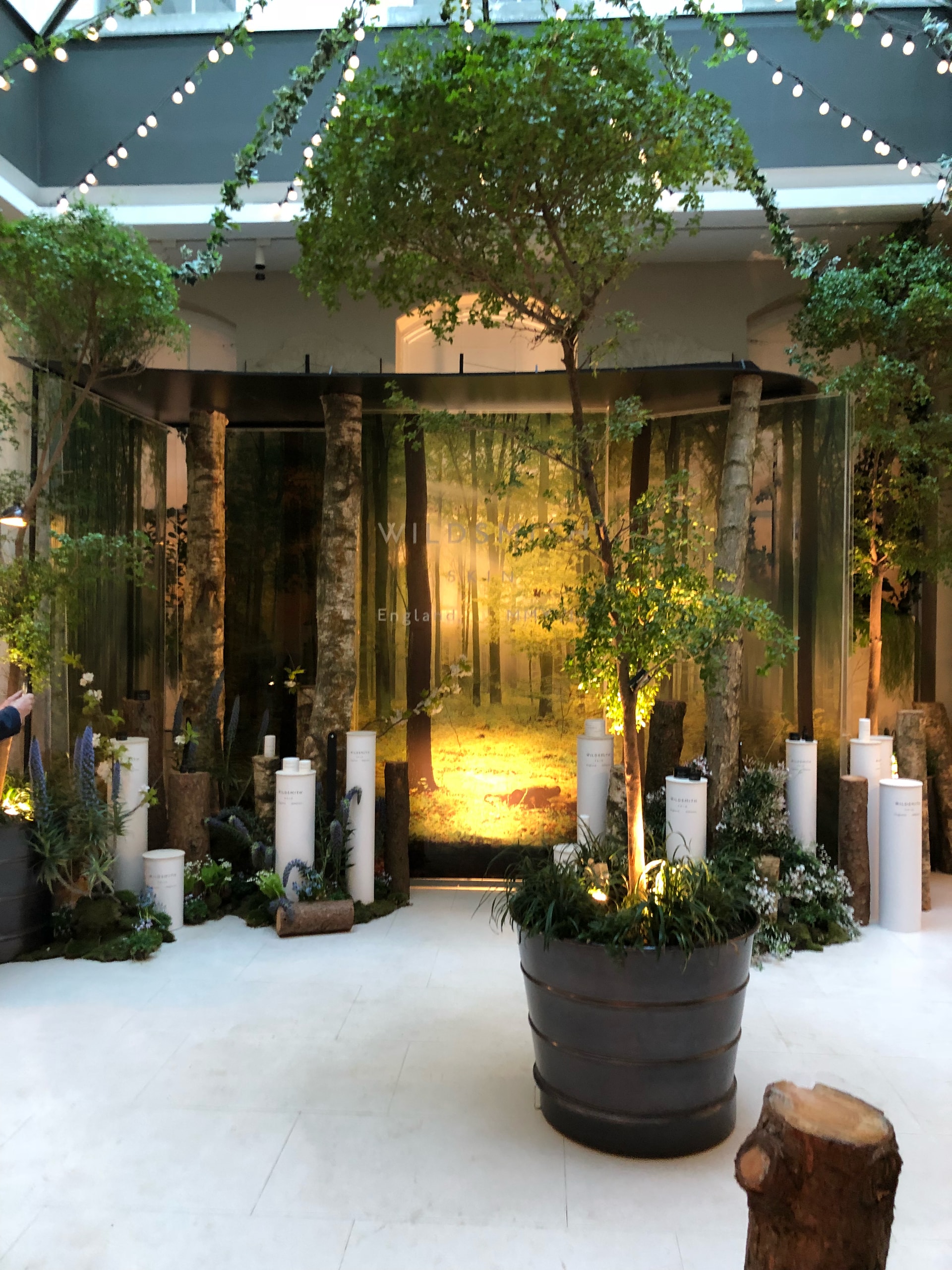 Indoor forest-themed exhibition stand with large-format printed backdrop, potted trees, illuminated plinths and decorative logs, used for an event or brand activation.