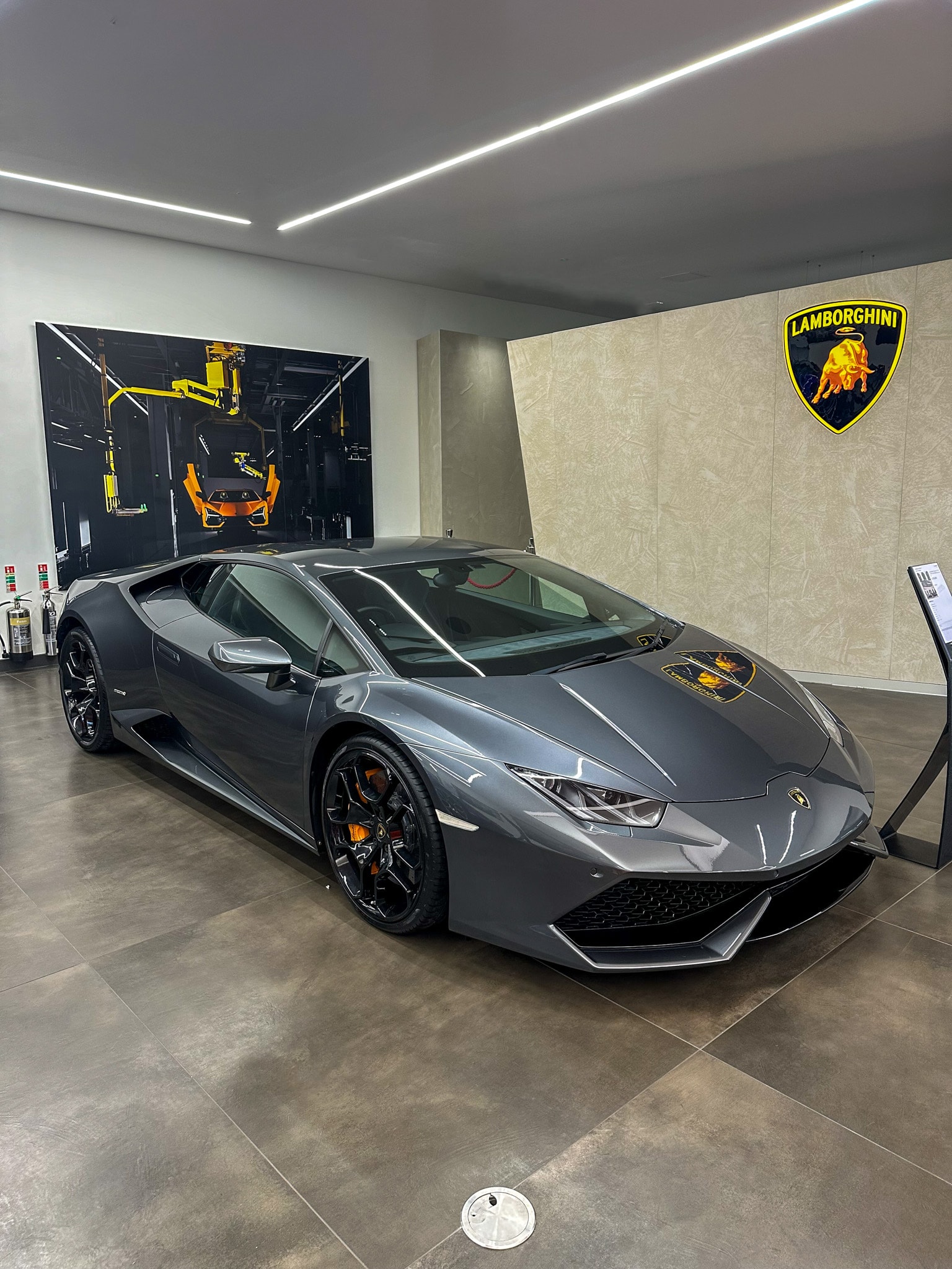 Lamborghini showroom interior with a grey Huracán on the polished floor and a prominent Lamborghini crest mounted on the wall, suitable for branding and retail display images.