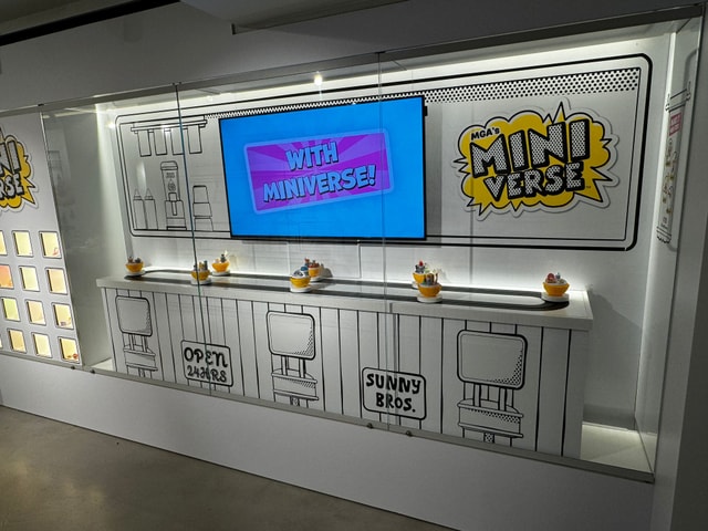 Miniverse installation